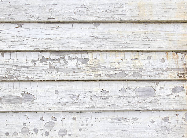 Best Siding Painting and Refinishing  in Sand Point, AK
